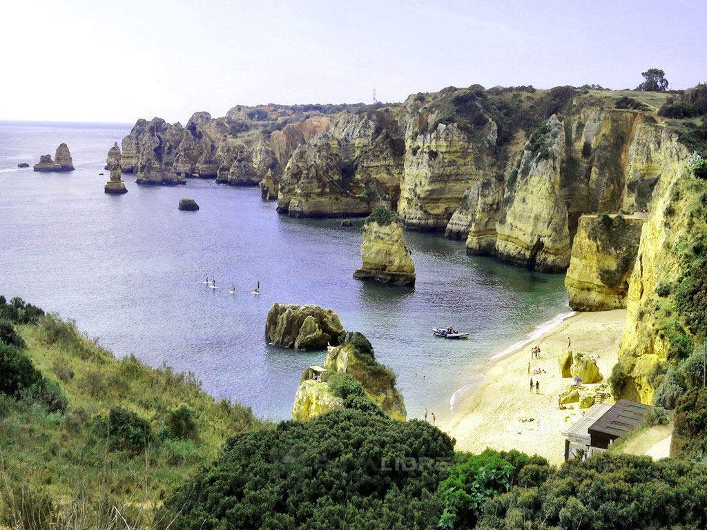 Aveiro fábrica de cerámica