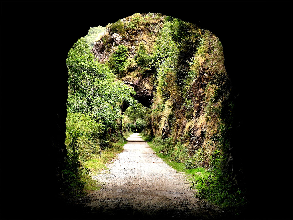 Jardines Parque Nacional de Bucaco