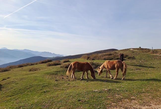 Viaje en autocaravana por Picos de Europa